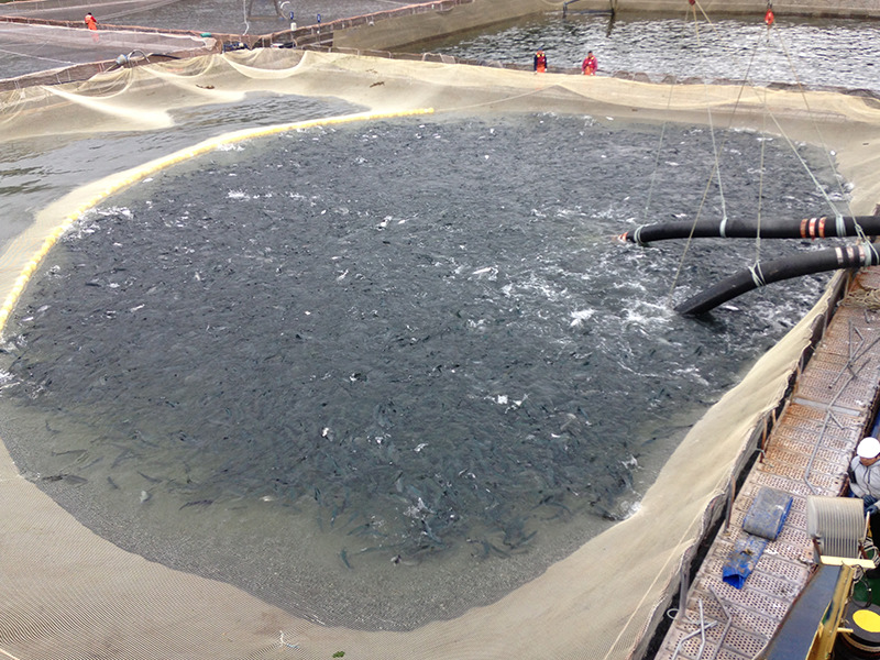 serv_centros_cultivo02