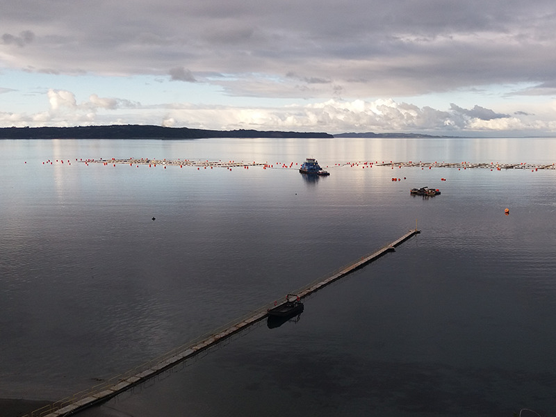 serv_centros_cultivo03